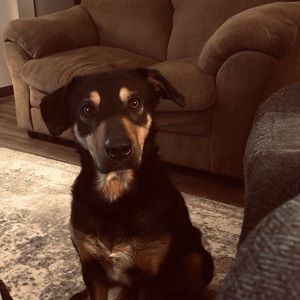 Meet your Posher, Lisa